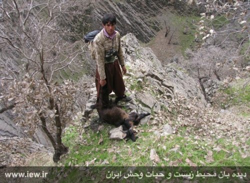 � ����� ����������� ������ �� ��������� ������������� ���� �����