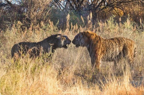 ����� ������ � ����� ������