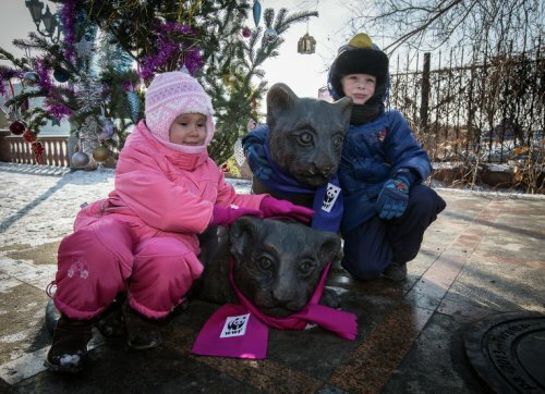 ���� ������������ ������ ����� ��������� �������� � ����� ������ ����