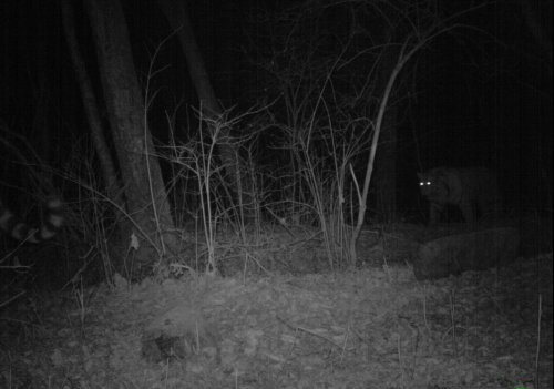 � �������� ������� ����������� �� �������� ���������� (����)