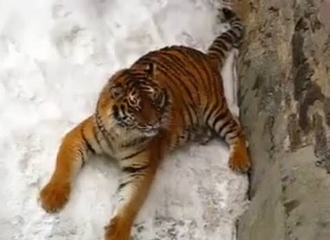 ���� �� ��������� �������� �������� � �����