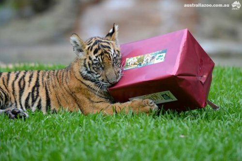 ������ ��������� � �������� ���������, ��� ��� ������������ ������� ��������� �� ���� (����, �����)