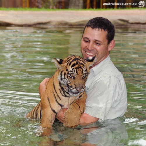 ������ ��������� � �������� ���������, ��� ��� ������������ ������� ��������� �� ���� (����, �����)