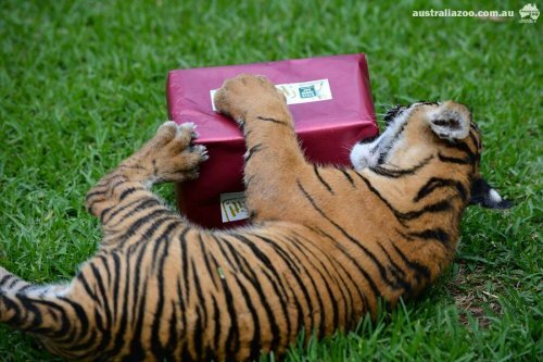 ������ ��������� � �������� ���������, ��� ��� ������������ ������� ��������� �� ���� (����, �����)