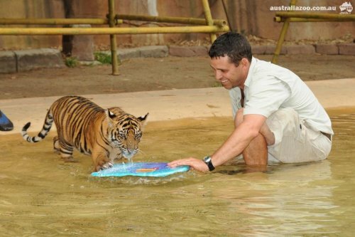 ������ ��������� � �������� ���������, ��� ��� ������������ ������� ��������� �� ���� (����, �����)