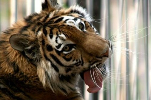 ������� ���� ��������� ���� ������