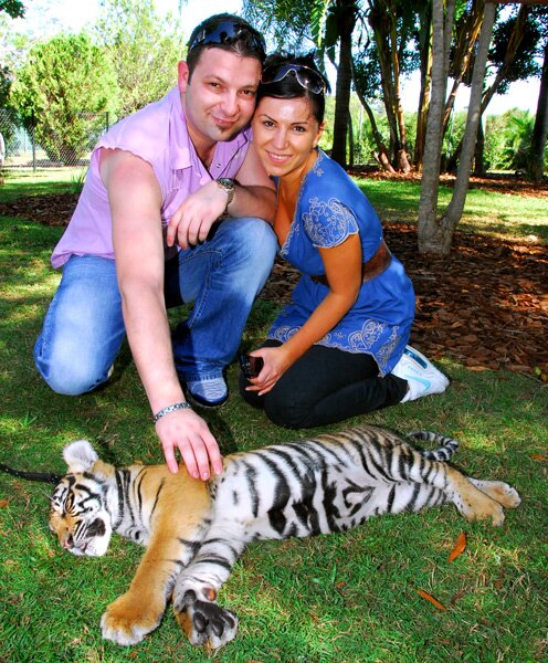 ����� ������������ ������ � ������������� ��������