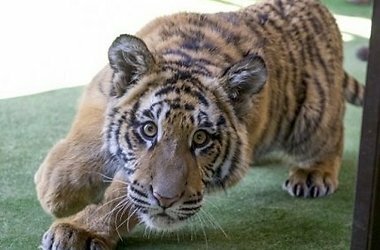 ����� ����� � ����� ���� � ����� ������� � 15 ��������