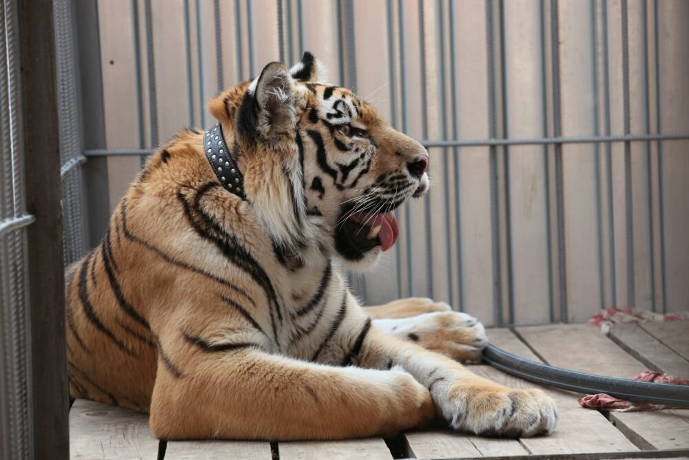 ������� �� �����. ��������� ����� ������ ��-�� ����� �������� � �������