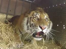 � ������ �������� ������ ��������� � ����� �������