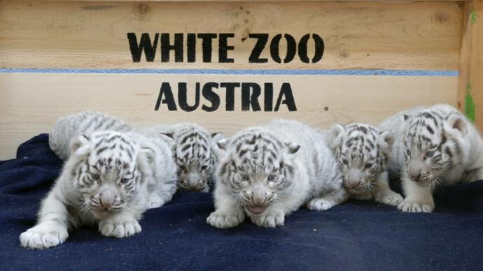 ���� ����� ������ ����������� � ����������� ��������