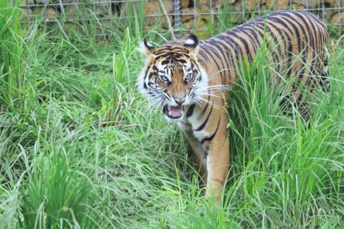 ���������� �������: ������������ ������� ����������