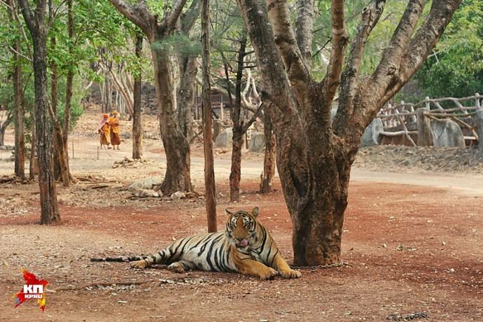 ������� �� ������ ���������� ���������� � �������� �����