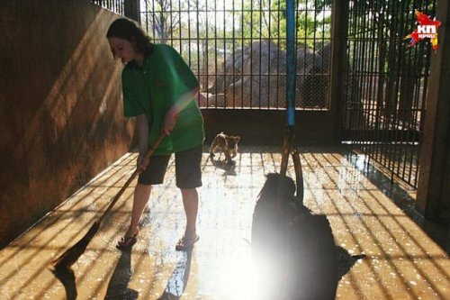 ������� �� ������ ���������� ���������� � �������� �����