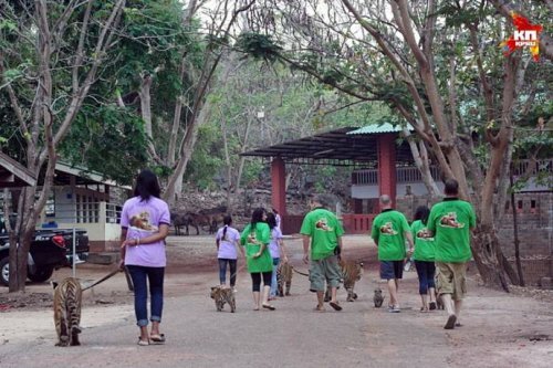 ������� �� ������ ���������� ���������� � �������� �����