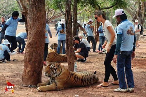 ������� �� ������ ���������� ���������� � �������� �����