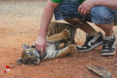 ������� �� ������ ���������� ���������� � �������� �����