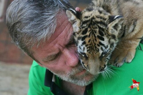 ������� �� ������ ���������� ���������� � �������� �����