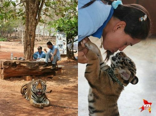 ������� �� ������ ���������� ���������� � �������� �����