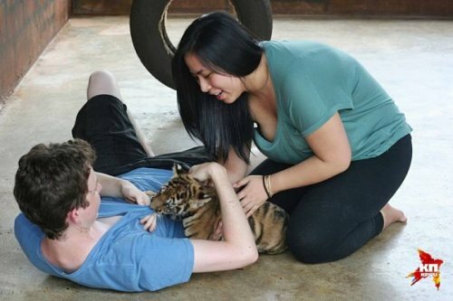 ������� �� ������ ���������� ���������� � �������� �����