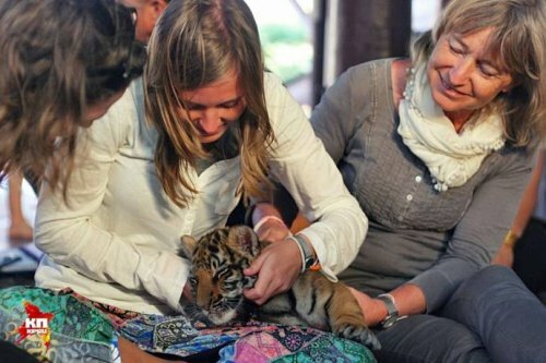 ������� �� ������ ���������� ���������� � �������� �����