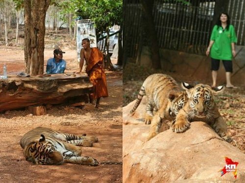 ������� �� ������ ���������� ���������� � �������� �����