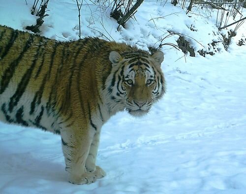 ������ ��� �����? (��������� 20.07.2014)