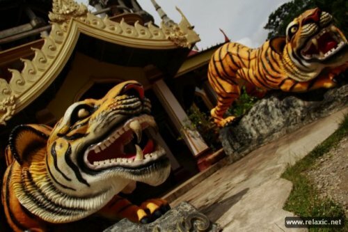 �������� ���������