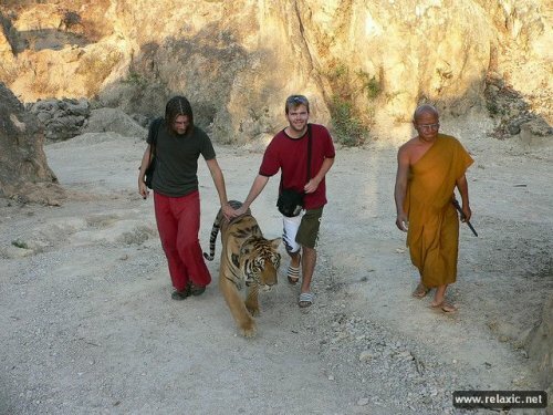 �������� ���������