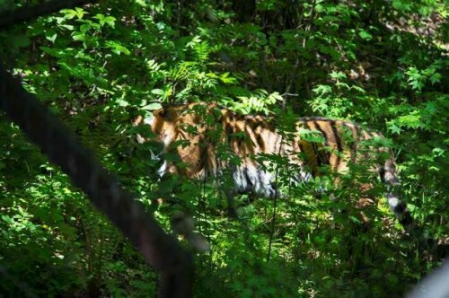 �������� ������ � �������� ������������ ����