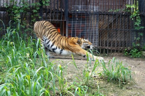 �������� ������ � �������� ������������ ����