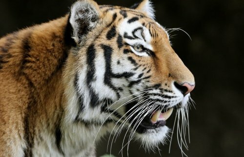 ���� ���� �� ������ � ����� ����� � ����� ��������� � ������, ����� ���� ��������� �����