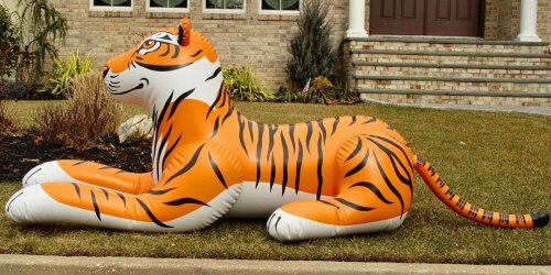 ���������� ����� �� ������