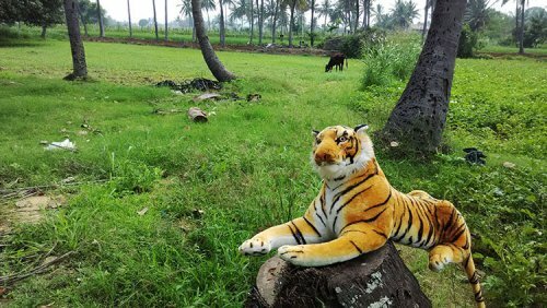 ���������� ����� �� ������