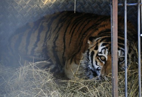 ����� ������ �������� � ��������� � ���������������� ����� � ��������