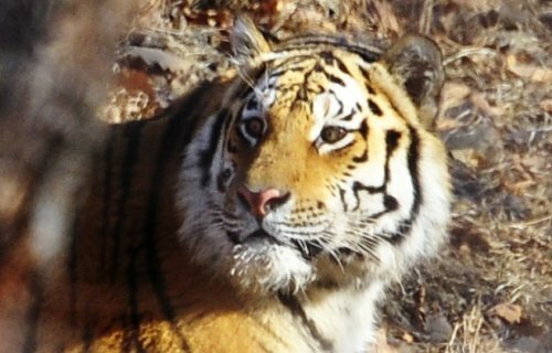 ����� ������ �������� � ��������� � ���������������� ����� � ��������