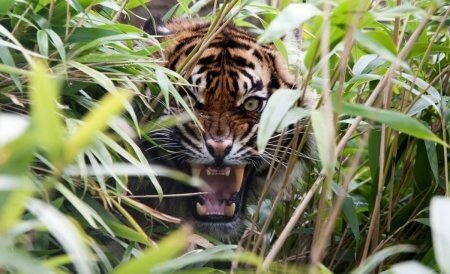 � ����� ����� ���� ������� � ������