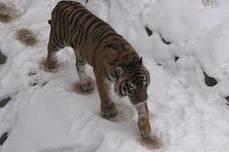 � ����������� �������������� ���������� ������ ����� ��������� �����