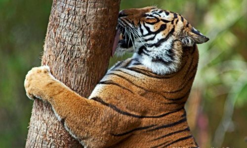 ������������� ������ ����� ���������� �� �����, ������� �������� ��������