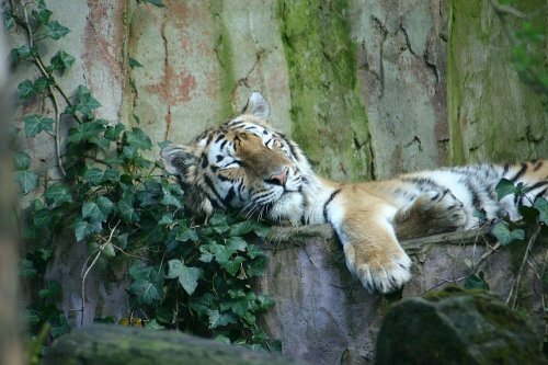 �������� � �����. ������� ����� ���������� � �������� �������