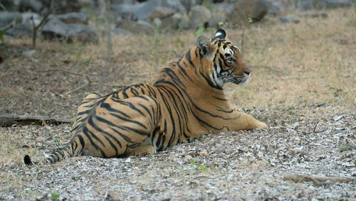 ���� �����, ���������� ������, ���������� � ���������������� ������