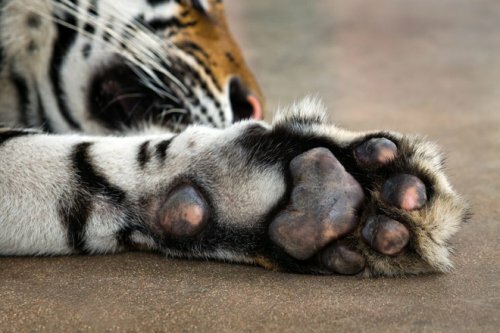 ���� �����, ���������� ������, ���������� � ���������������� ������