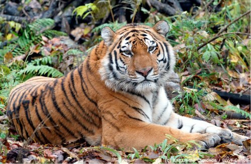 �������� ����� �����!