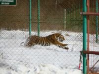 � �������� ������ �������� �������� �������