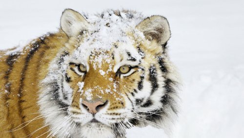 �� ������� ������� �������� �������� �������� ������