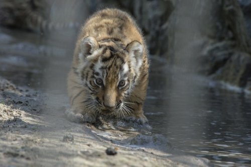 �� ������� ������� �������� �������� �������� ������