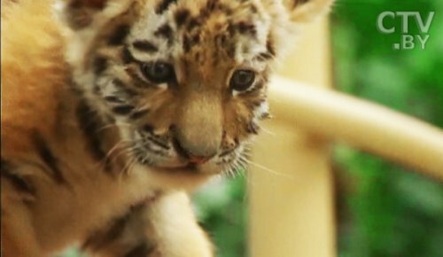 ��������� ������ � ����� � 2010 ���� ������� �� 30%