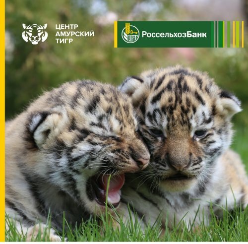 �������������� �������� ��������� ����� � ��������� �������� ������