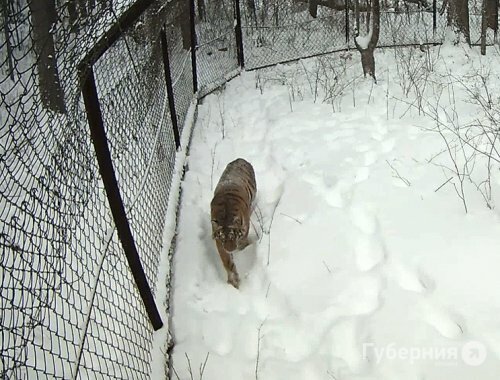 ����� ��-�� �������� ������ ��������� ����� �������� �� ���� � ����������� ����