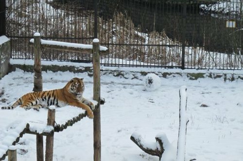 �������� ������� �� ���������������� �������� ��������� ������ ����������